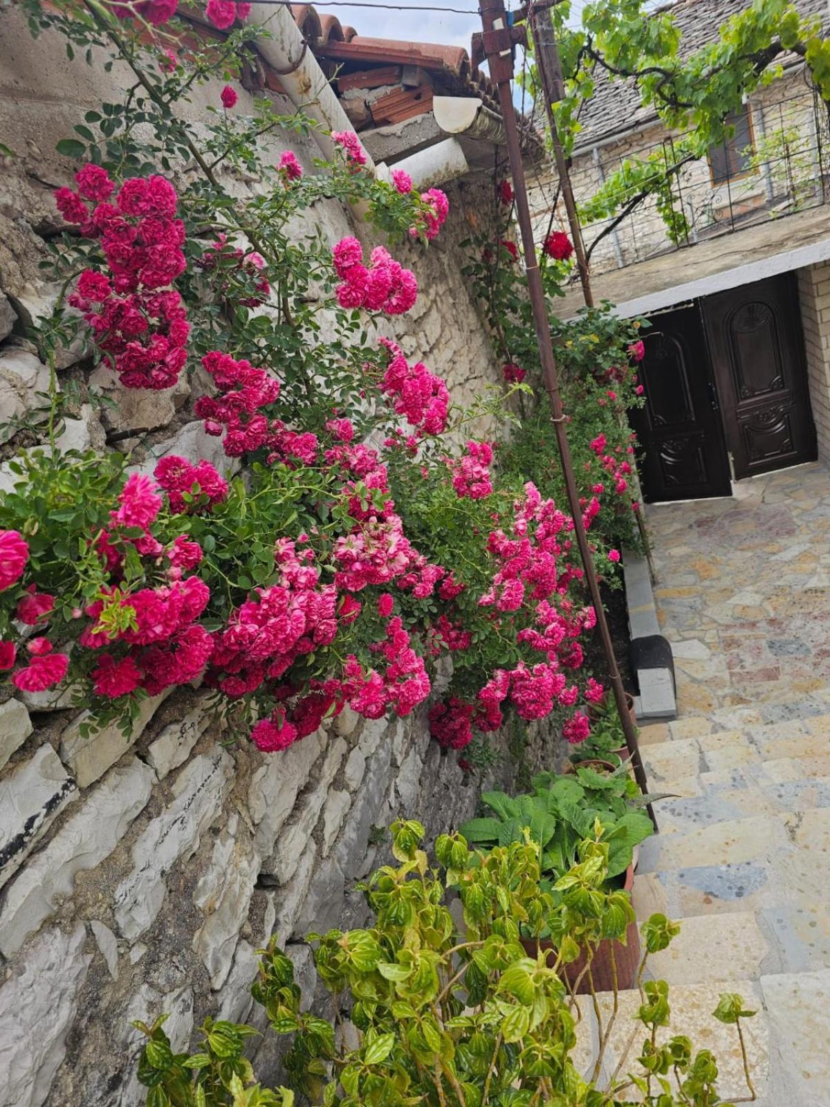 Luigi Guest House Gjirokastër Exterior foto