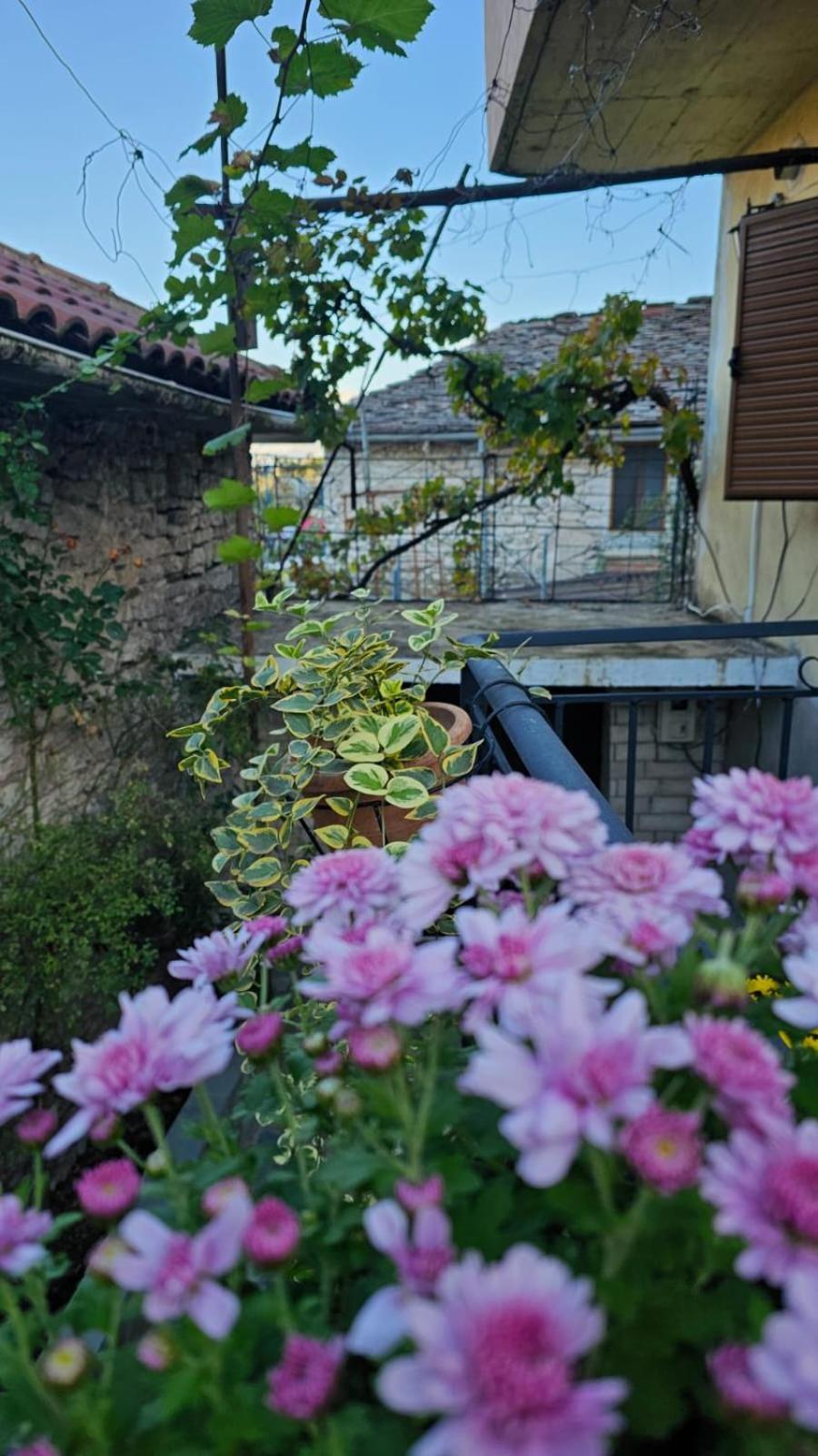 Luigi Guest House Gjirokastër Exterior foto